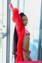 Load image into Gallery viewer, Rouge Allure set