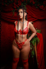 Load image into Gallery viewer, Feelin Love Sick lingerie set